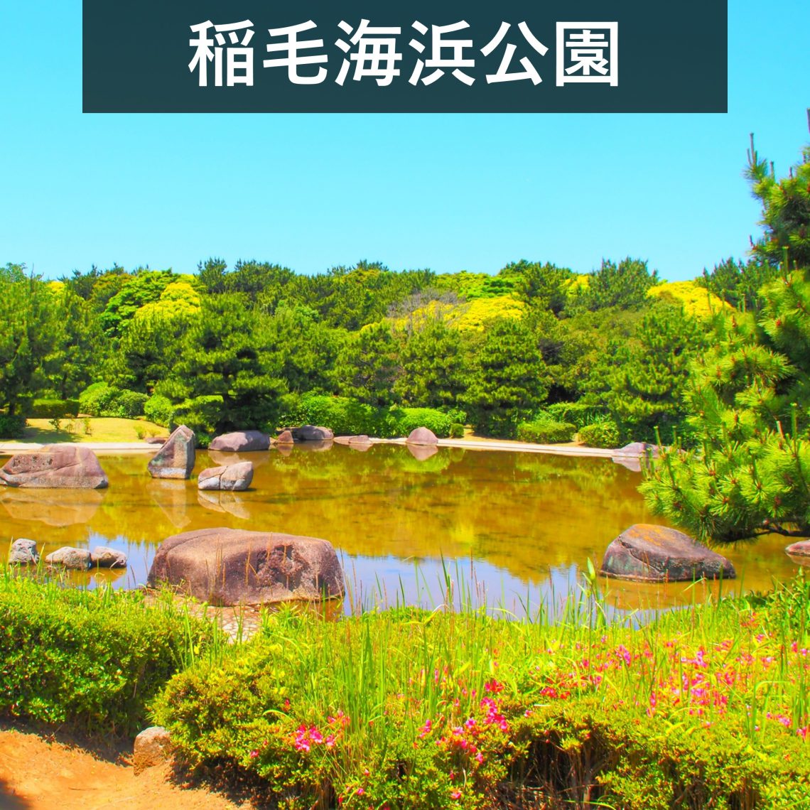 利便性の高さに加え、周辺環境の良さも入居者様の心を捉えます！